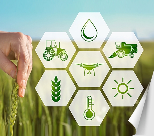 Мониторинг