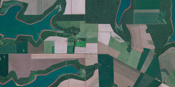 Обмер полей