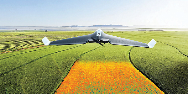 Визуальные и NDVI карты полей